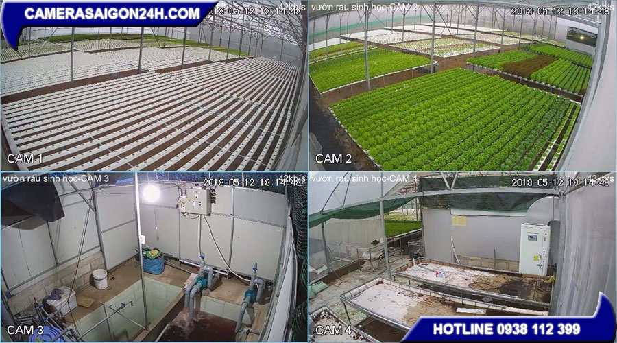 hình ảnh ghi hình lắp camera an ninh thực tế