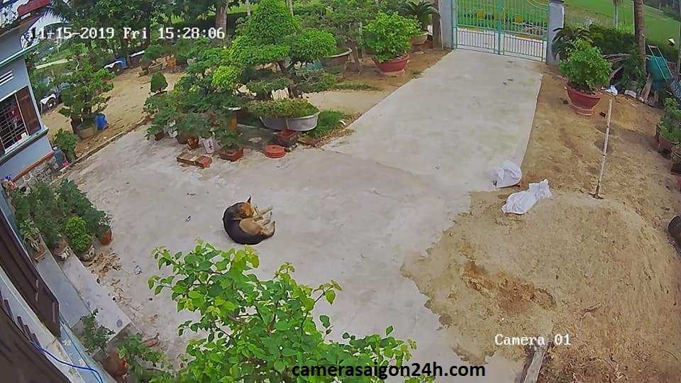 Hình ảnh ghi hình thực tế của camera vantech al-v2031